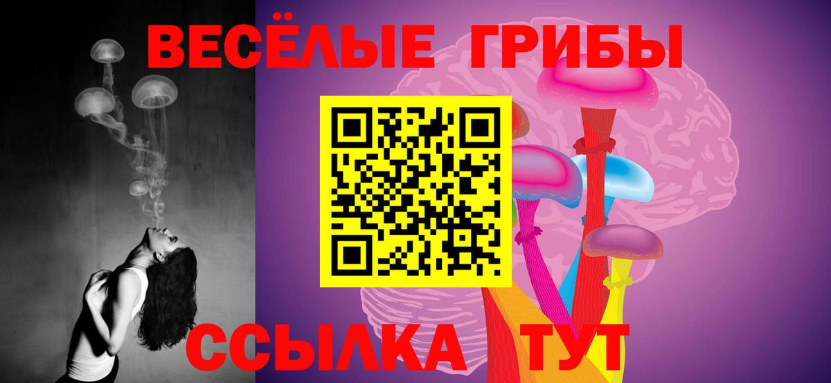 Псилоцибиновые грибы мицелий  Вход с VPN  Волгоград 